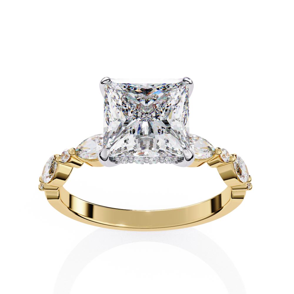 The Dani Princess Hidden Halo with Accent Stone Engagement Ring