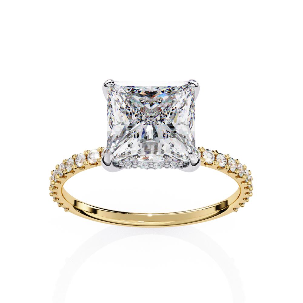 The Erica Princess Mystic Hidden Halo Engagement Ring
